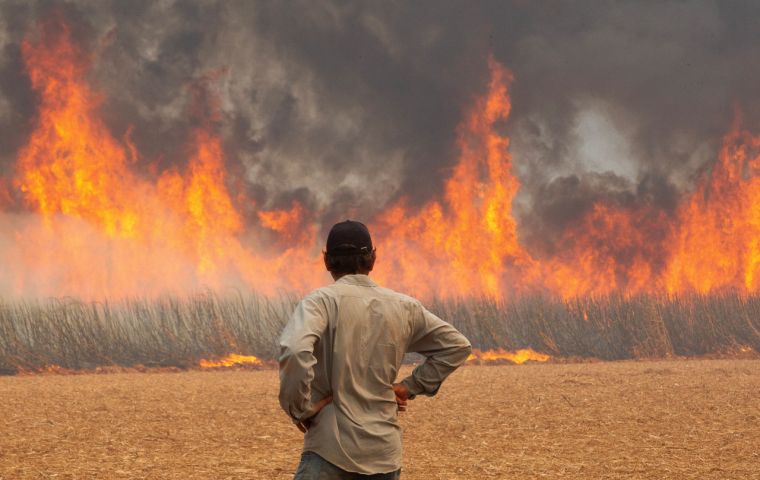 The unprecedented number of fires in São Paulo is believed to have been caused deliberately