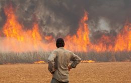 The unprecedented number of fires in São Paulo is believed to have been caused deliberately