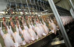 Brazil is projected to account for 36% of worldwide exports, with the United States (the world’s second-largest chicken meat producer) responsible for 25%.