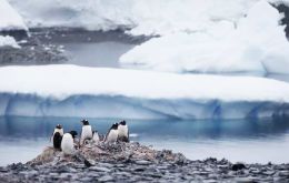 New gear allowed for unprecedented measurements which showed certain species might be in danger (Pic AP)