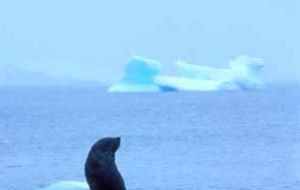 Ice along the Antarctic Peninsula is largely melting and thus retreating