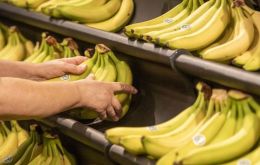 Massa ordered the payment of bananas to be prioritized, Fanego explained