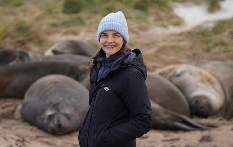 Bettina among a resting pack of Falklands marine mammals