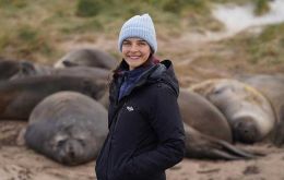 Bettina among a resting pack of Falklands marine mammals