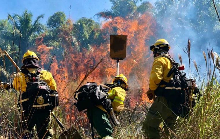 A Brazilian team was deployed to keep the flames from reaching the Pantanal, a geographic region comprising stretching across Brazil, Bolivia, and Paraguay