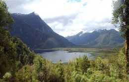 The Pumalin Park in the south of Chile, owned by Douglas Tompkins