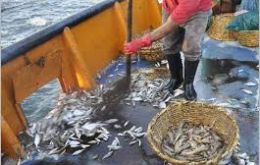 “Gradually reducing the effort of trawling is a presidential commitment, where marine ecosystems harmed by trawling also benefit,” pointed out Machuca. 