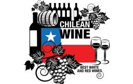 Wines of Chile announced that exports had fallen 24% in volume and revenue during the first half of the year compared to 2022