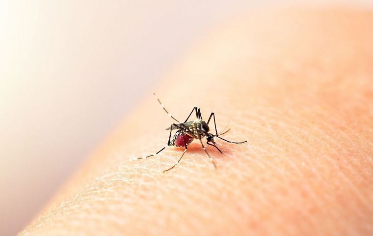 The State of São Paulo accounted for most of the proven cases of dengue