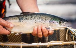 European destinations dominated as the sector continued to bounce back from Brexit. Scottish salmon was exported to 54 countries