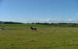 In 2010, a total of 350.000 hectares of farmland changed hands 