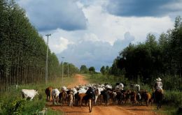 Argentina accounted for almost 89% of Paraguay's soybean exports