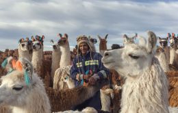 The International Year was proposed by the Government of the Pluri-national State of Bolivia and approved by the UN General Assembly in 2017