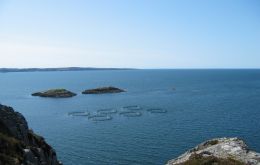 The Scottish sites visited have Norwegian links including Marine Harvest, rebranded as Mowi, in Rosyth, Scottish Sea Farms in Stirling and Grieg Seafood