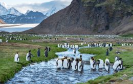 Alison Blake CMG, Commissioner for South Georgia & the South Sandwich Islands, signed the new Charter Party Agreement confirming the continued service of Pharos SG under the operation of WBS 