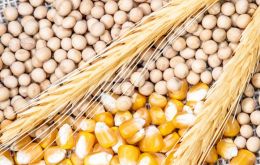 The Cereal Price Index rose 6.3% from April, reflecting growing concerns about unfavorable crop conditions curbing yields for the 2024 harvests