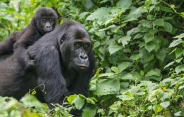 Canada and Britain said they together would provide US$ 160 million in seed money to set up the Global Biodiversity Framework Fund (GBFF).