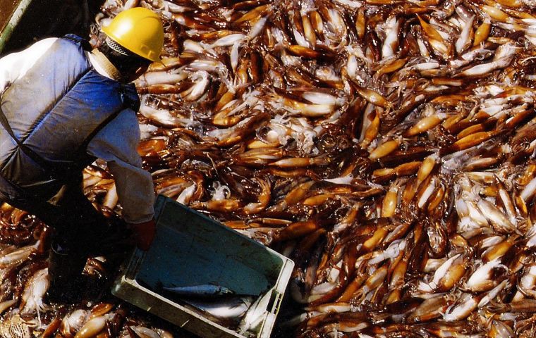 Finalized reports on catches, effort, biological sampling and operation area from the Argentine jigger fleet, totaled catches of 118,878 tons on the 23rd day.