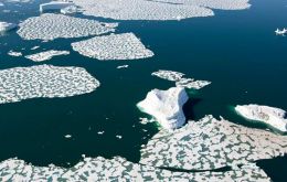 Sea ice is to life in the Southern Ocean as soil is to a forest. It is the foundation for Antarctic marine ecosystems. Less sea ice is a danger to all wildlife