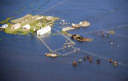 Thousands of hectares cover by water and damage to crops and cattle is extensive