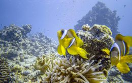 “The ocean is the lifeblood of our planet. And today, you have pumped new life and hope to give the ocean a fighting chance,” Antonio Guterres said