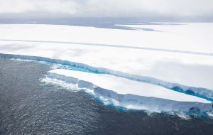 A view of some of the “megabers” surrounding South Georgia island