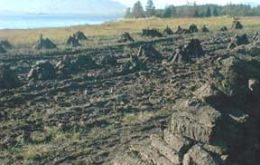 Peat bog