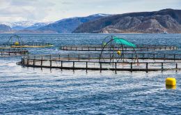 Rural Economy Secretary, Fergus Ewing, said that the study shows the Scottish seafood processing sector dependency on EEA workers