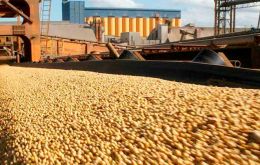 China Absorbed 33% of all Brazilian agriculture exports, some US$ 45billion