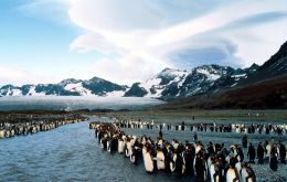 Participants of the visit headed by Commissioner for South Georgia & the South Sandwich Islands, Nigel Phillips CBE.