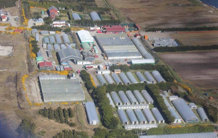 Some of the valuable producing land of Stanley Growers. (Pic Stanley Nurseries & Garden Centre)