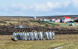 The primary purpose of the scheme was to sustain the local tourism industry through a period with little or no international visitors (Pic Volunteer Point)