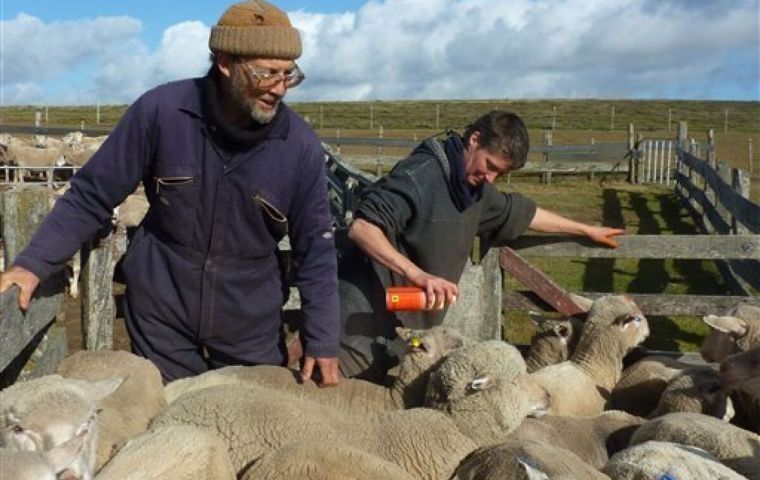 Conferences from SAERI, Falklands Conservation, DEFRA and local experts were of much interest for the Falklands' farmers