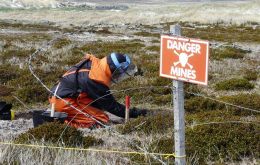 A batch of mines were located at Hell’s Kitchen, the Murrell Peninsula, north of Stanley in November 2023, 